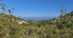 Land for Sale Bchaaleh Batroun Area 3000Sqm