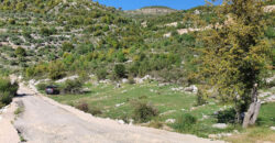 Land for Sale Bchaaleh Batroun Area 3000Sqm
