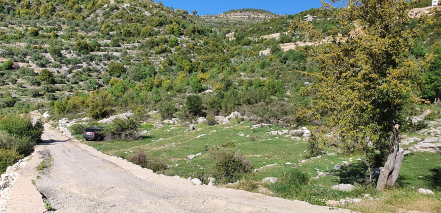 Land for Sale Bchaaleh Batroun Area 3000Sqm