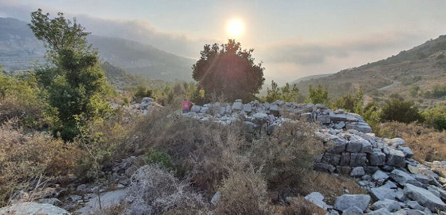 Land for Sale Bchaaleh Batroun Area 3000Sqm