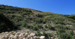 Land for Sale Blat Jbeil Area 1315Sqm