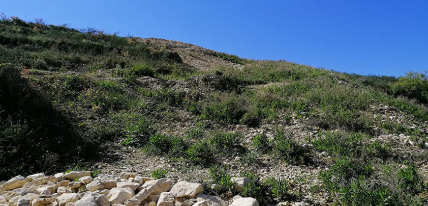 Land for Sale Blat Jbeil Area 1315Sqm