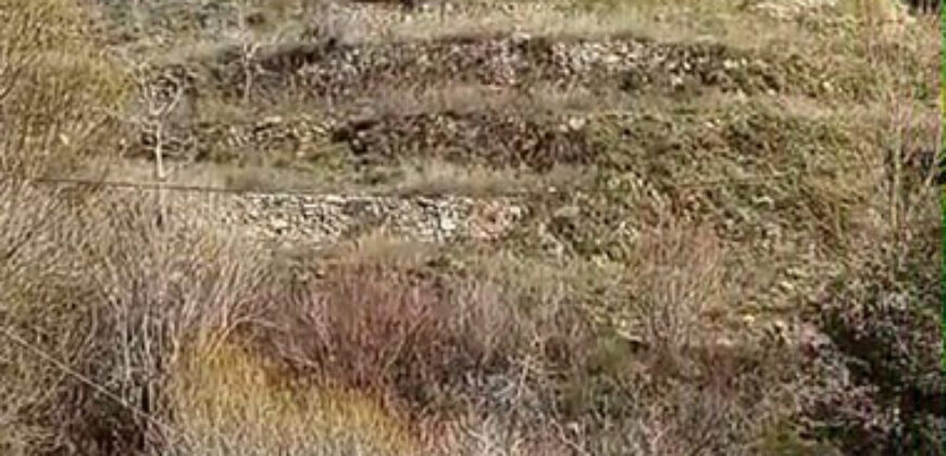 Land for Sale Tannourine El Tahta ( Ain Alraha ) Batroun Area 3660Sqm