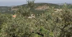 Land for Sale Chabtine Batroun Area 2000Sqm