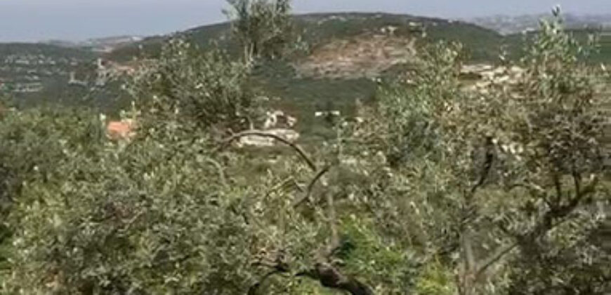 Land for Sale Chabtine Batroun Area 2000Sqm
