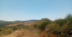 Land for Sale Kour Batroun Area 1208Sqm
