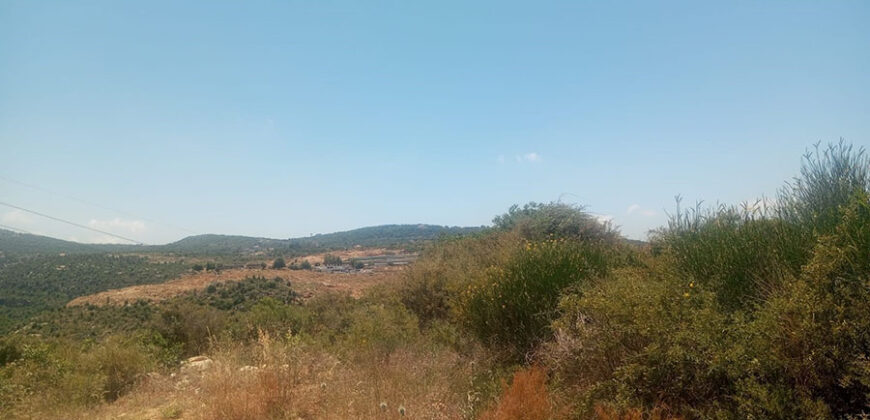Land for Sale Kour Batroun Area 1208Sqm