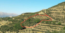 Land for Sale Aaqoura ( Laqlouq ) Jbeil Area 2356Sqm