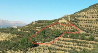 Land for Sale Aaqoura ( Laqlouq ) Jbeil Area 2356Sqm