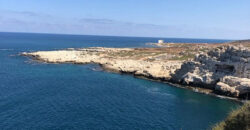 Land for Sale Hamat Batroun Area 66795Sqm