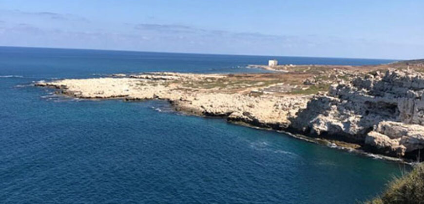 Land for Sale Hamat Batroun Area 66795Sqm
