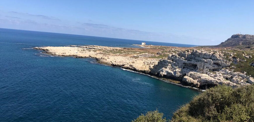 Land for Sale Hamat Batroun Area 66795Sqm