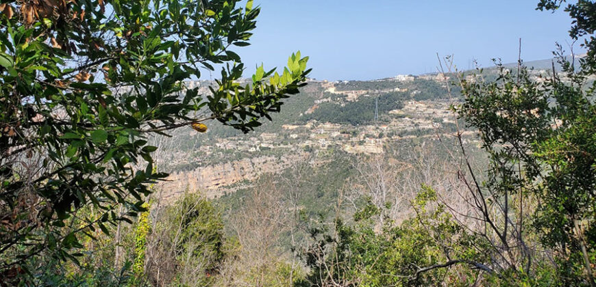 Land for Sale Mradiyeh Kesserwan Area 21031Sqm