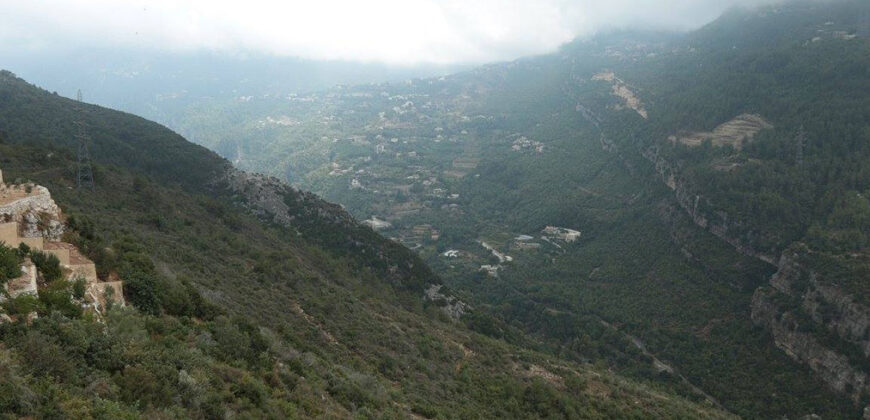 Land for Sale Fatre Jbeil Area 2846Sqm