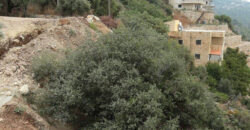 Land for Sale Fatre Jbeil Area 2846Sqm