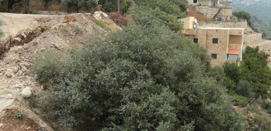 Land for Sale Fatre Jbeil Area 2846Sqm