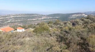 Land for Sale Bechtoudar – Aoura Batroun Area 5105Sqm