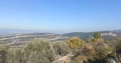 Land for Sale Bechtoudar – Aoura Batroun Area 5105Sqm