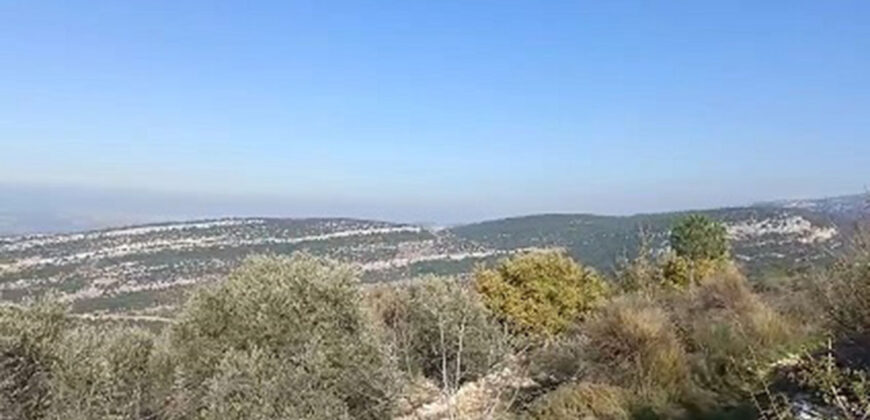 Land for Sale Bechtoudar – Aoura Batroun Area 5105Sqm