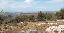 Land for Sale Deir Billa Batroun Area 920Sqm