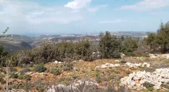 Land for Sale Deir Billa Batroun Area 920Sqm