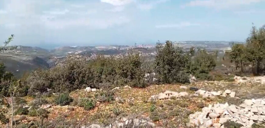 Land for Sale Deir Billa Batroun Area 920Sqm