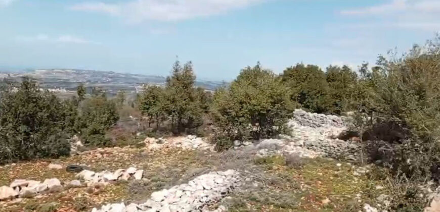 Land for Sale Deir Billa Batroun Area 920Sqm