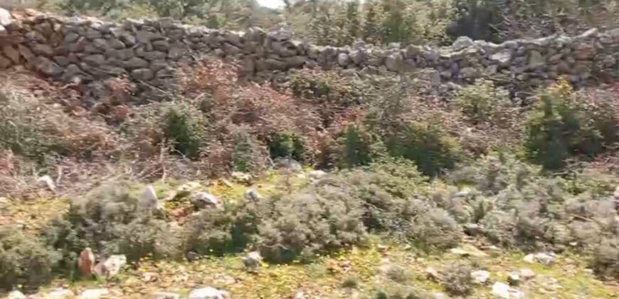 Land for Sale Deir Billa Batroun Area 920Sqm