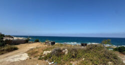 Land for Sale Monsef Jbeil Area 1100Sqm