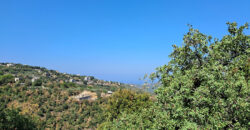 Land for Sale Hakel Jbeil Area 9380Sqm