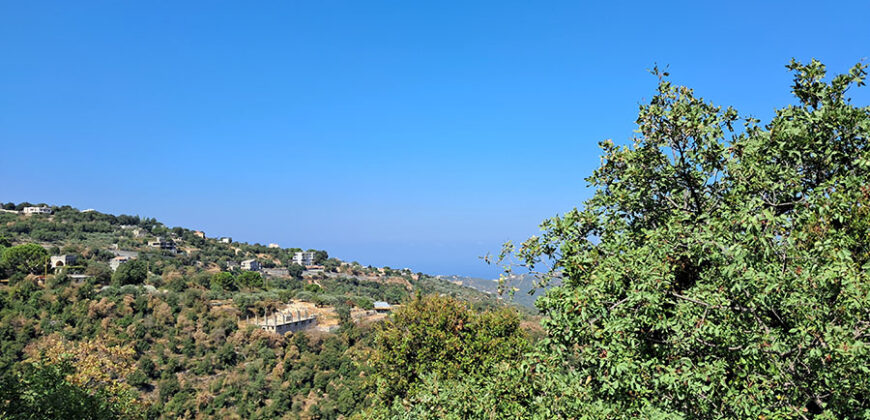 Land for Sale Hakel Jbeil Area 9380Sqm