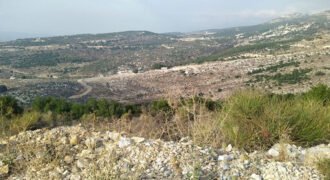 Land for Sale Hadtoun Batroun Area 5095Sqm
