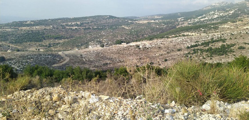Land for Sale Hadtoun Batroun Area 5095Sqm