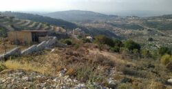 Land for Sale Hadtoun Batroun Area 5095Sqm