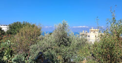 Land for Sale Blat Jbeil Area 560Sqm