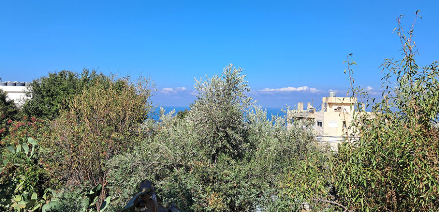Land for Sale Blat Jbeil Area 560Sqm