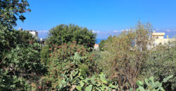 Land for Sale Blat Jbeil Area 560Sqm
