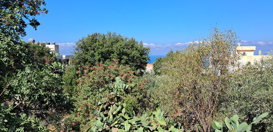 Land for Sale Blat Jbeil Area 560Sqm