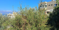 Land for Sale Blat Jbeil Area 560Sqm