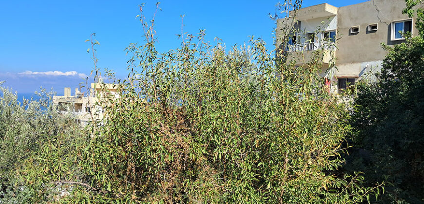 Land for Sale Blat Jbeil Area 560Sqm