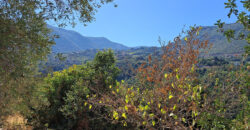 Land for Sale Adonis Sannour Area 2666Sqm