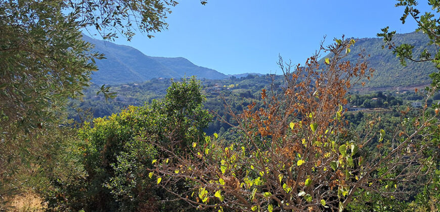 Land for Sale Adonis Sannour Area 2666Sqm