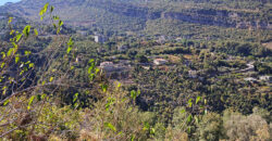 Land for Sale Adonis Sannour Area 2666Sqm