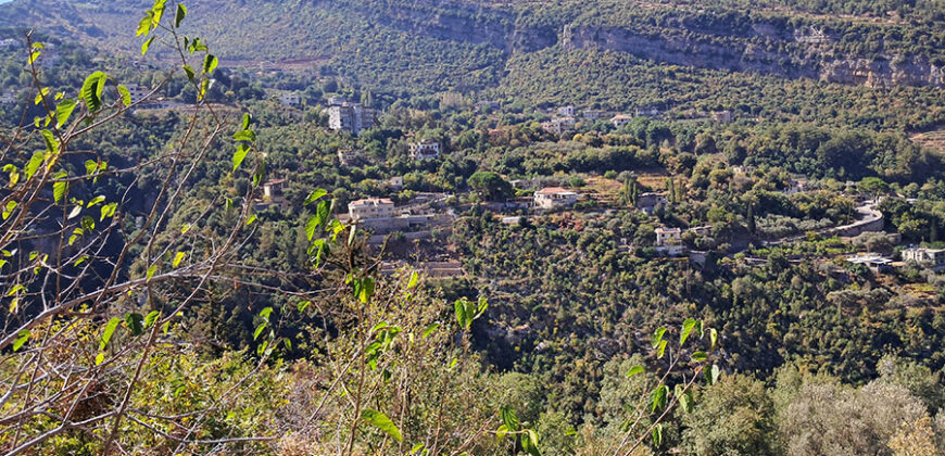 Land for Sale Adonis Sannour Area 2666Sqm