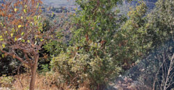 Land for Sale Adonis Sannour Area 2666Sqm