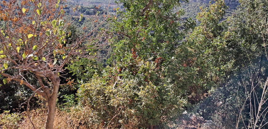 Land for Sale Adonis Sannour Area 2666Sqm