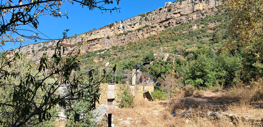 Land for Sale Adonis Sannour Area 2666Sqm