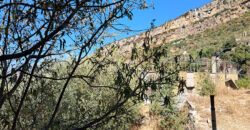 Land for Sale Adonis Sannour Area 2666Sqm