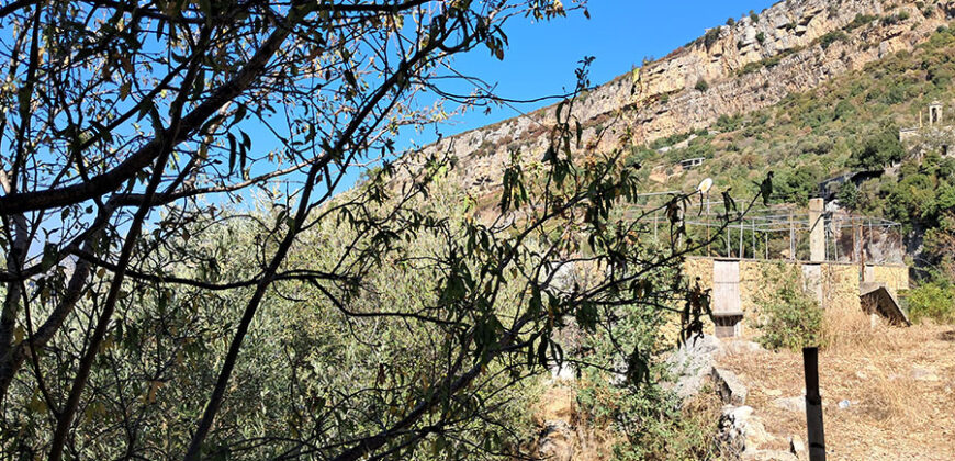 Land for Sale Adonis Sannour Area 2666Sqm