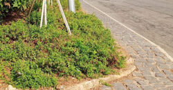 Old House for Sale Batroun City Housing Area 200Sqm Land Area 865Sqm